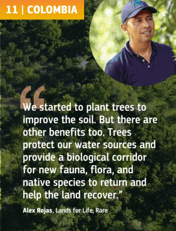 Aerial of trees in Colombia and a photo of Alex Rojas.