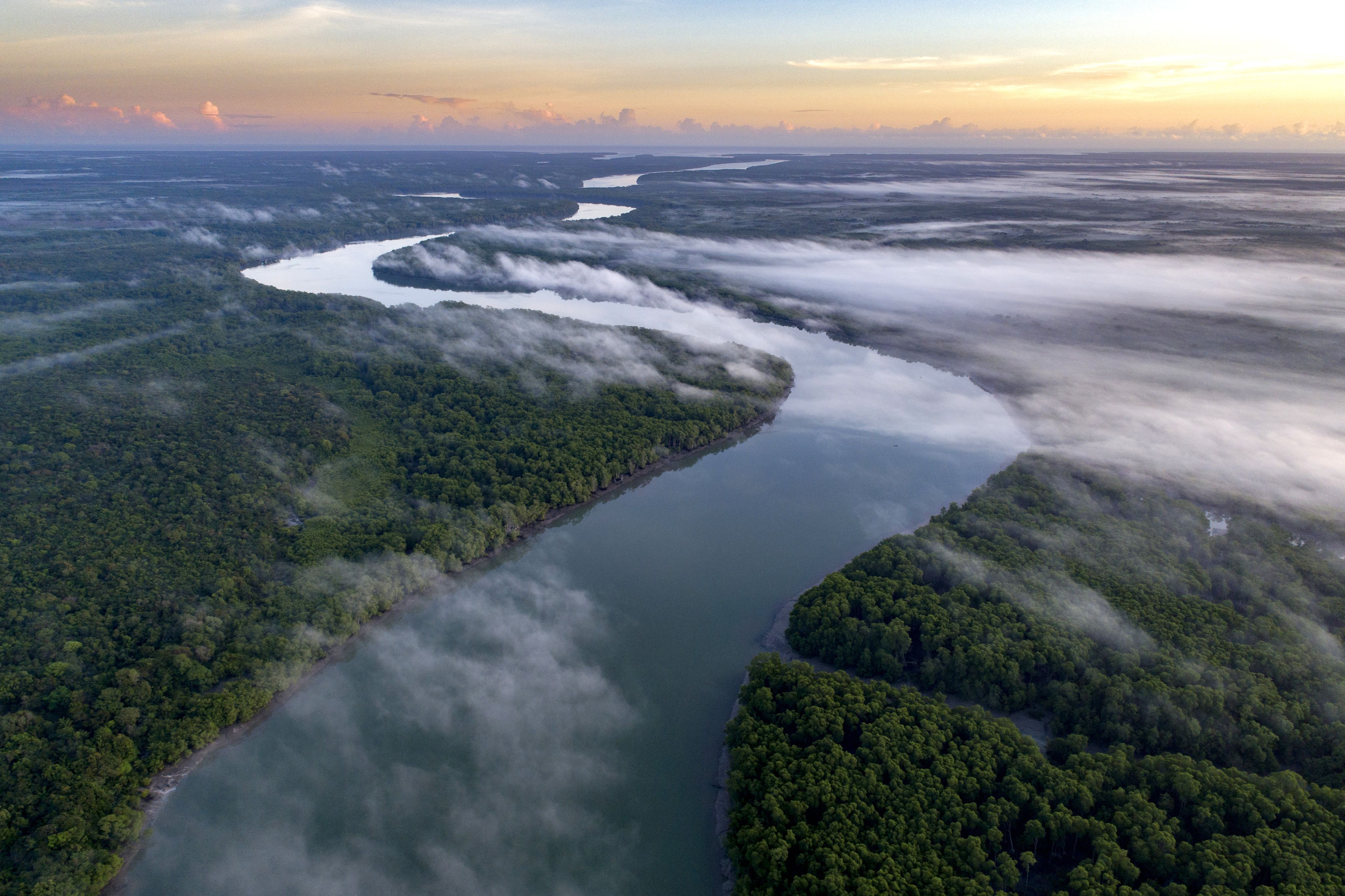 Aerial photo of The Mocajuba River in Pará, Brazil.