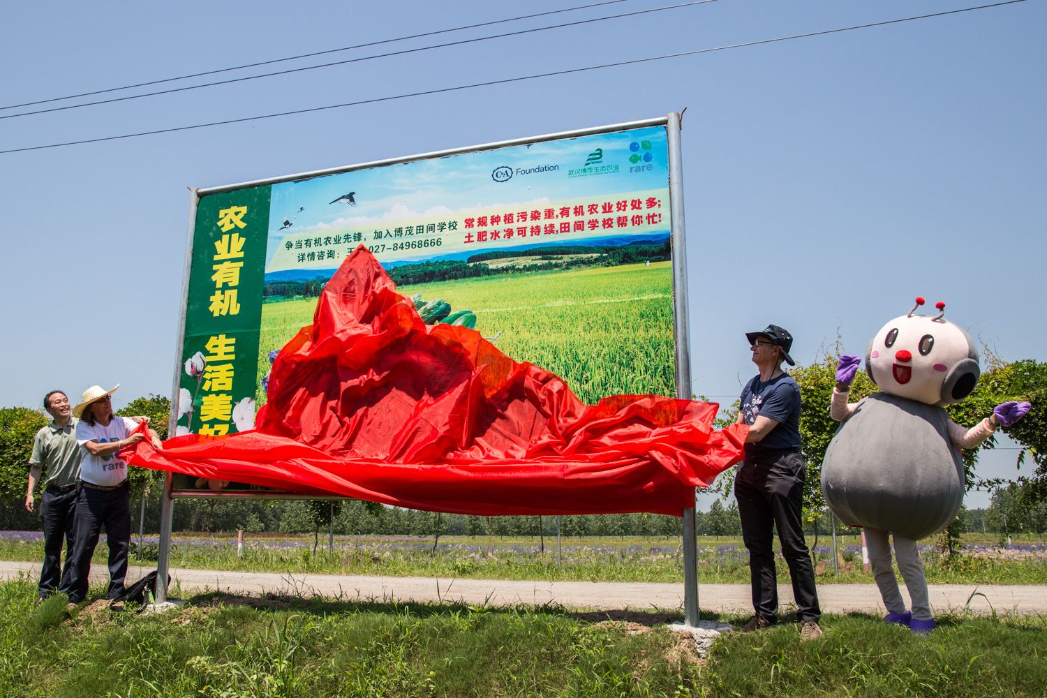 Photo of a ladybug mascot next to a billboard in China.